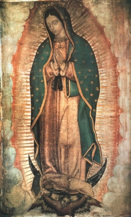 lady of guadalupe